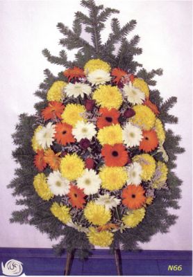 Венец №66